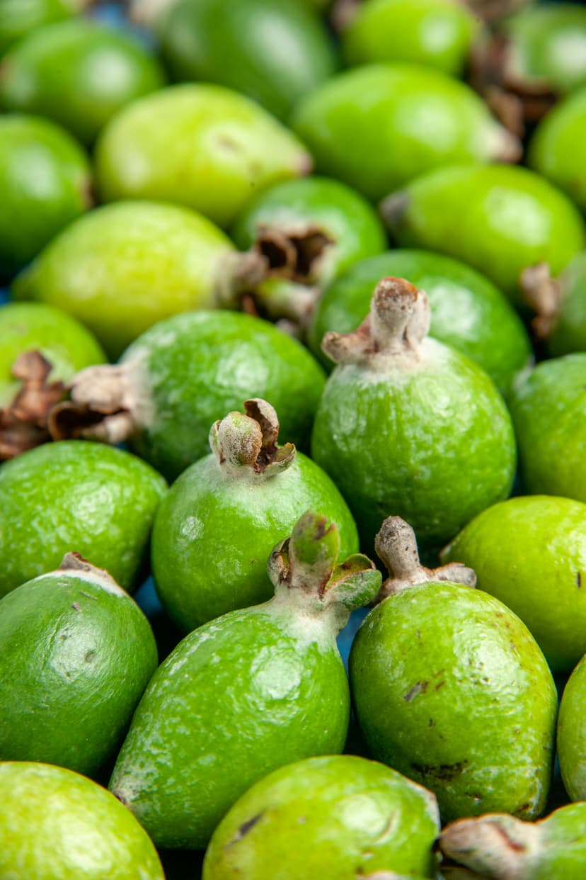 Malanga de J&HBANEXPORT